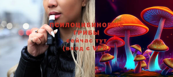прущие крисы Надым