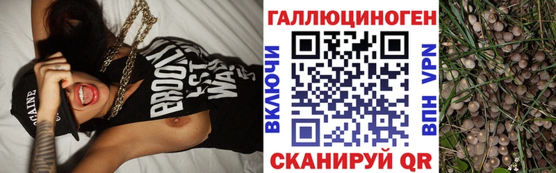 Галлюциногенные грибы GOLDEN TEACHER  Злынка 